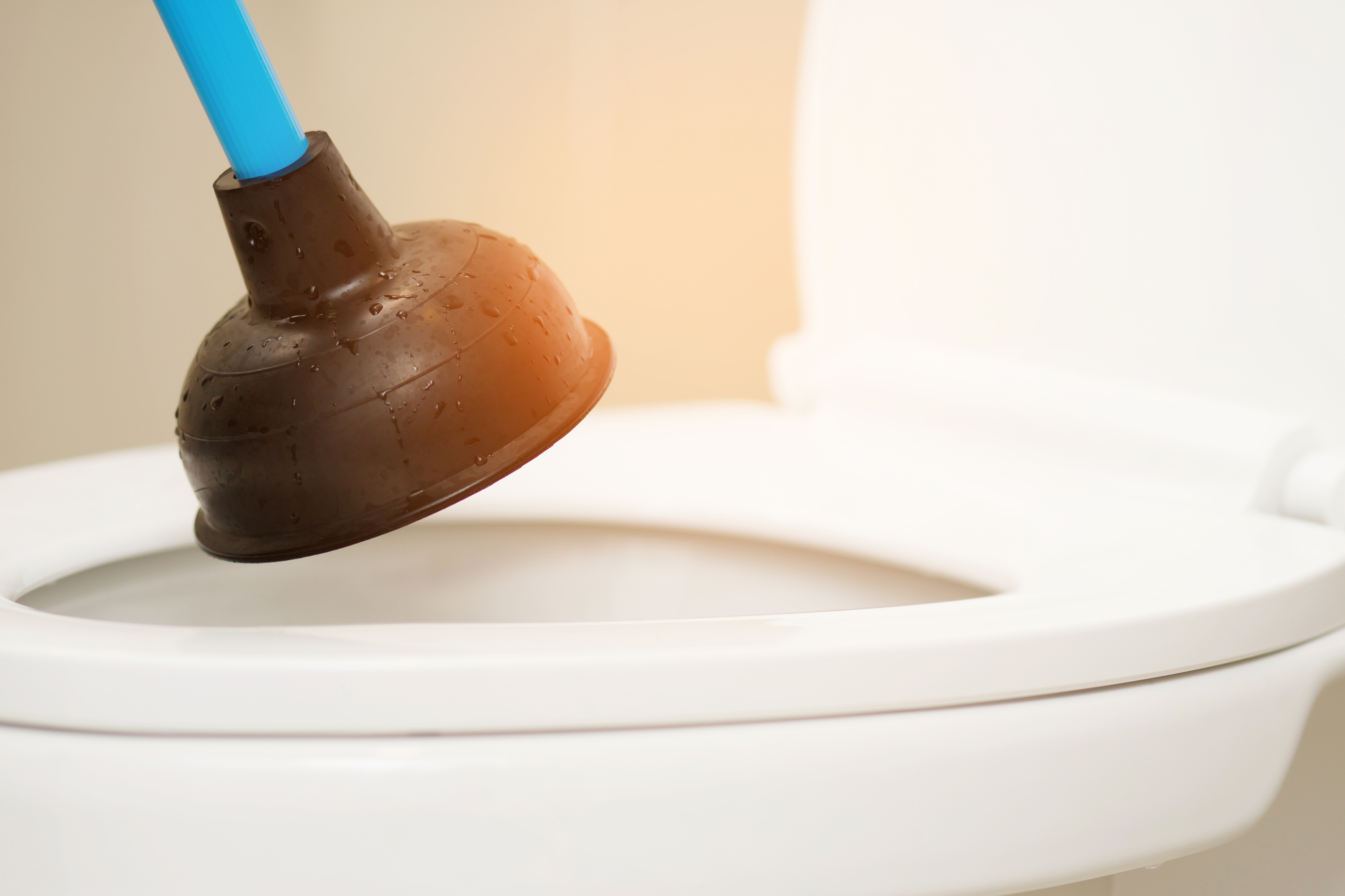 What You Should and Shouldn’t Flush Down the Toilet: Avoid Blockages and Expensive Repairs